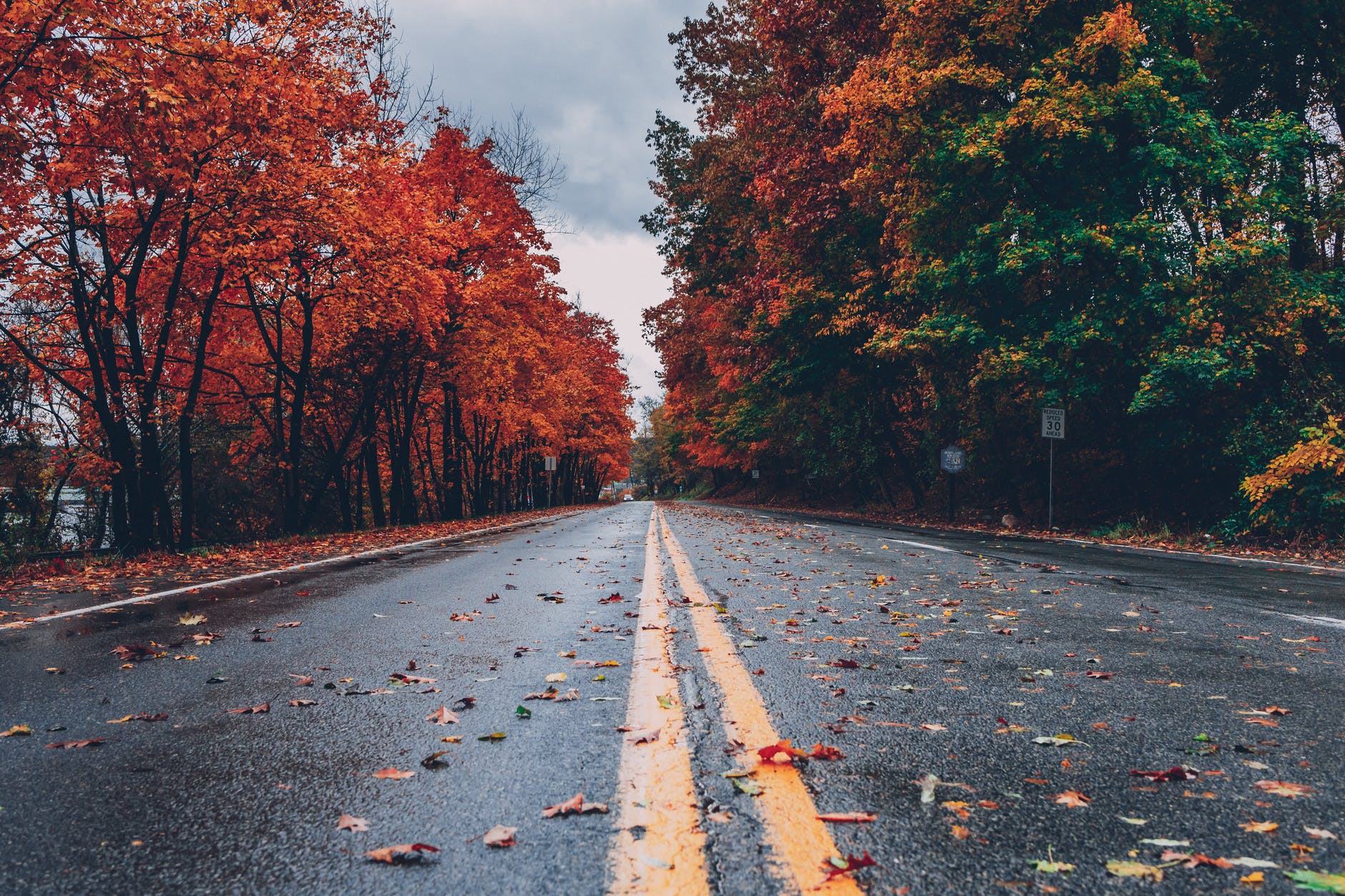 concrete road between trees