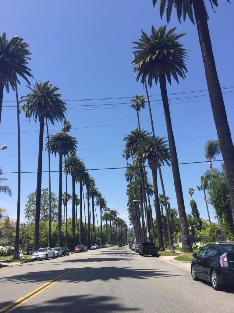 instagrammable places in los angeles, palm streets